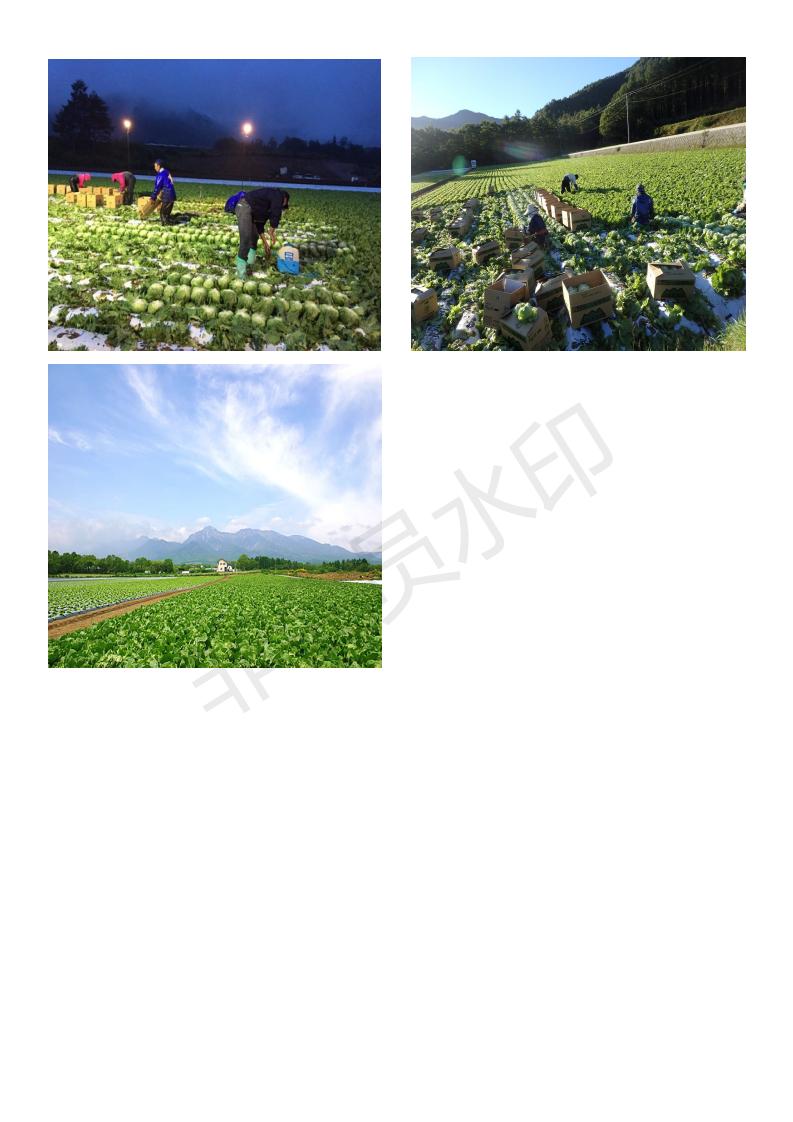 zz-長野縣短期農(nóng)業(yè)種植實習(xí)生招工簡章(21.06.25)_02.jpg